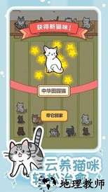 解压猫咪官方版 v1.0.0 安卓版 2