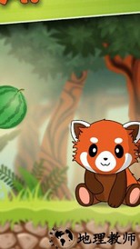 饥饿的小熊猫游戏最新版 v1.0.4 安卓版 3