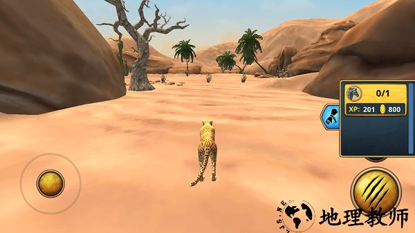 猎豹家庭3d中文版(Cheetah Family Sim 3D) v3.1 安卓版 3