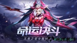 新神王大陆手游 v1.0 安卓版 2