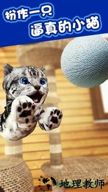 猫猫模拟游戏 v2.1.1 安卓版 0