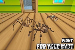 蜘蛛模拟器手游 v1.0 安卓版 1