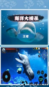 海洋大捕杀游戏 v1.0.12 安卓版 3