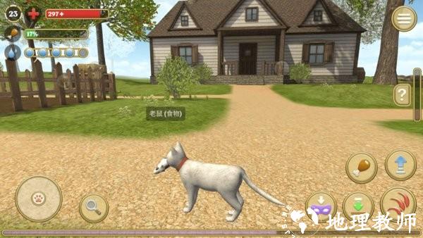 可爱小猫模拟器游戏 v1.0.8 安卓版 2