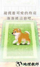 养育柴犬的治愈手游 v1.0 安卓版 3