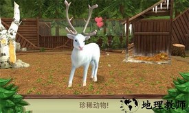 宠物成精啦小游戏 v187.1.1.3018 安卓版 2