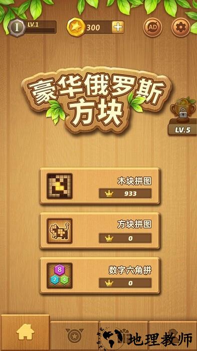 豪华俄罗斯方块手机版 v2.0 安卓版 3