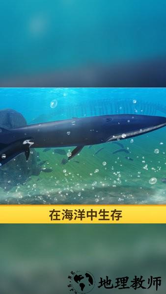 海洋3d蓝鲸模拟游戏 v1.0.1 安卓版 0