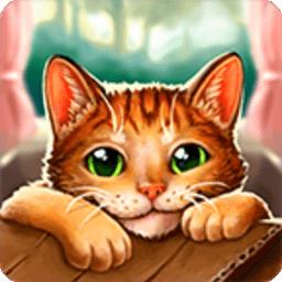 猫救援故事最新版