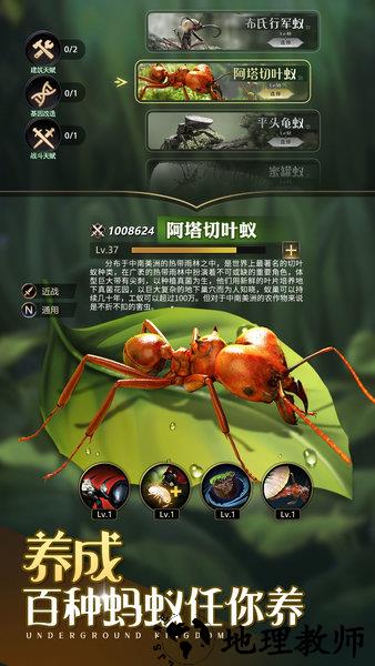 小小蚁国国际版最新版(The Ants) v3.18.0 安卓版 3