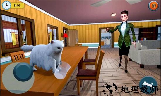 虚拟猫模拟器宠物猫官方版(CAT & MAID) v3.8 安卓版 0