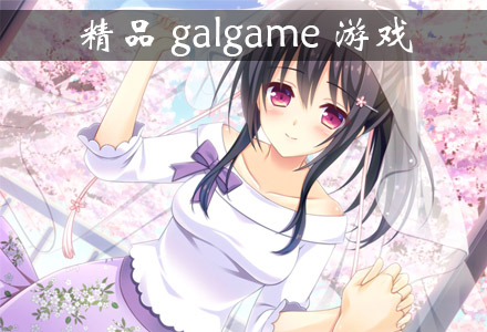 精品galgame游戏大全