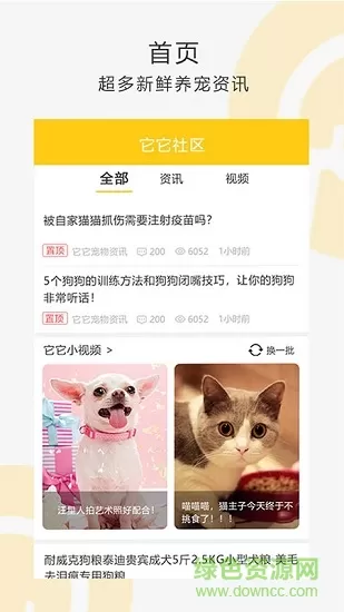 我爱它它app