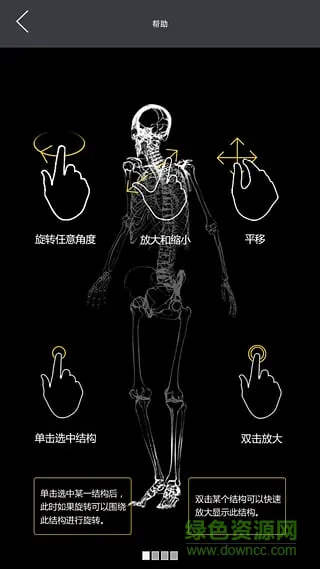 3dbody修改版2020