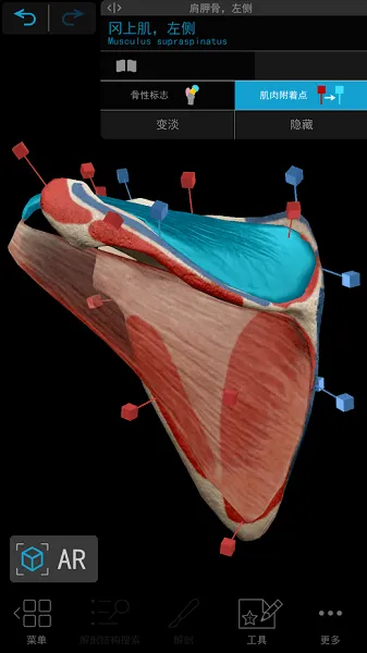 human anatomy atlas 2021 v2021.2.27 安卓手机版 1