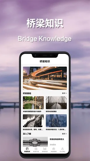 搭桥小专家 v1.1 安卓版 2
