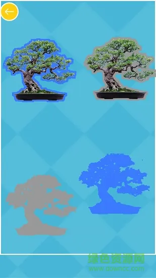 儿童认植物颜色 v1.0.0 安卓版 0