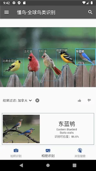 懂鸟全球鸟类识别软件 v0.0.10 安卓版 1