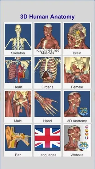 anatomy learning(人卫3d解刨学) v2.1.349 安卓版 1