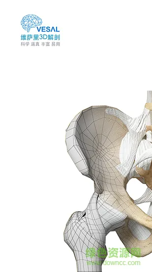 维萨里3D解剖教学全集终身免费版 v5.7.0 官方安卓版 4