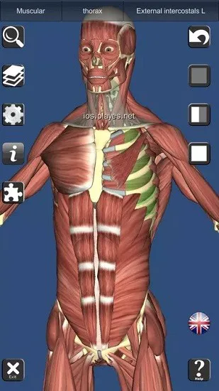 anatomy learning(人卫3d解刨学) v2.1.349 安卓版 0