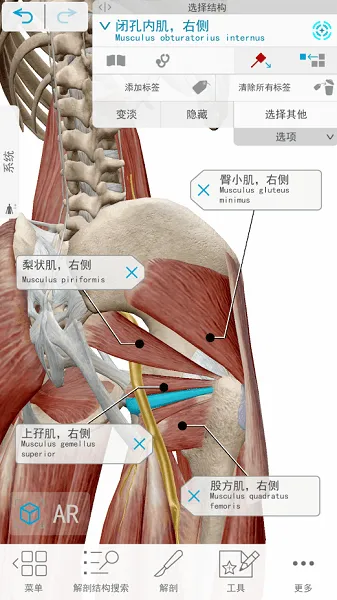 human anatomy atlas 2021 v2021.2.27 安卓手机版 2