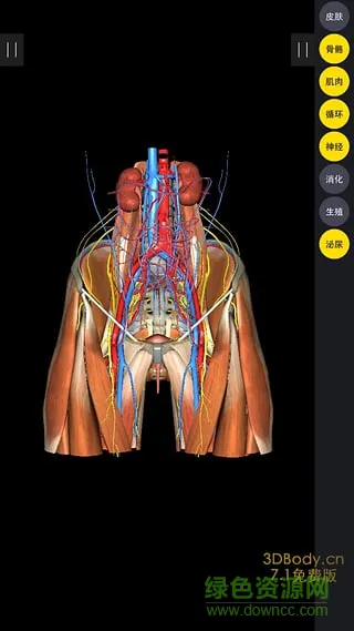 3DBody修改版最新解锁vip v8.2.6 安卓版 0