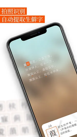 解字最新版 v2.1.7 安卓版 2