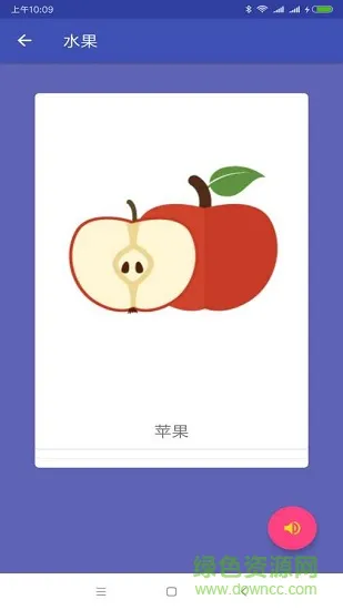 鲸鱼卡片whale card v1.0.2 安卓版 3