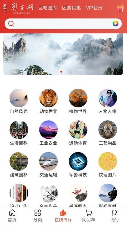 图王网官方版 v1.1.19 安卓版 2