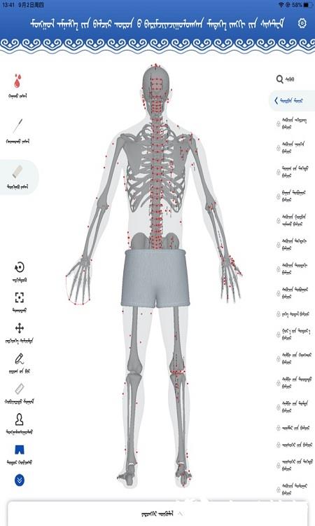 蒙医穴位标准化信息系统app v1.0.1 安卓版 4