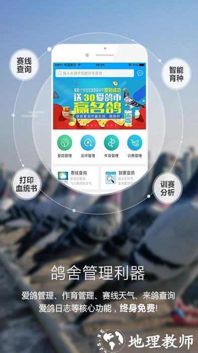 爱鸽者手机版 v3.1 安卓版 1