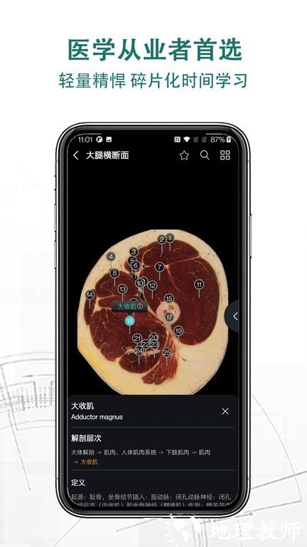 掌上3d解剖app v2.7.1 安卓版 3