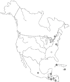 北美洲地图手绘简图图片